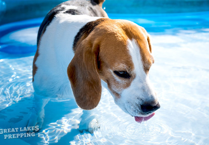 Staying Cool During a Heat Wave: 10 Essential Tips
