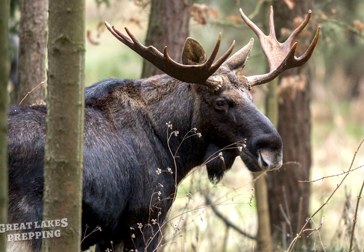 10 Stupid Ways to Die in the Wilderness